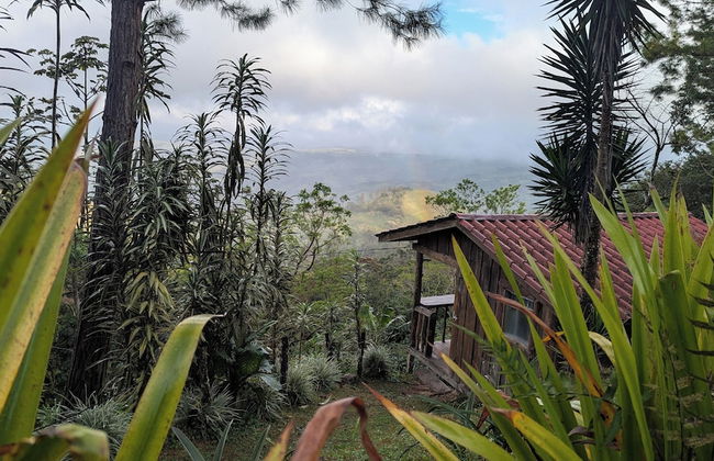 Campos de Oro Wilderness Lodge - Photo 20