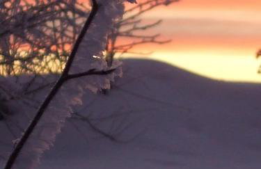 Ferienwohnung Lippert - Foto 8