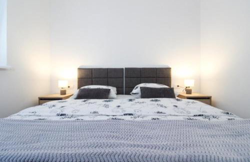 Fly in Apartment - Photo 16