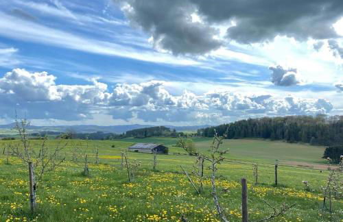 Holzhaus Onkel Fritz mit Sauna und Whirlwanne - Foto 22