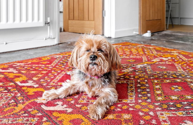 Cottage in Worcestershire - Photo 10