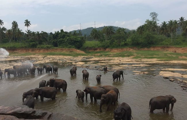 Explore Central Srilanka - Foto 12