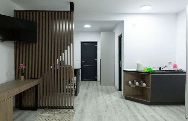 Frasin Studios-6 km to Voronet Monastery - Foto 27