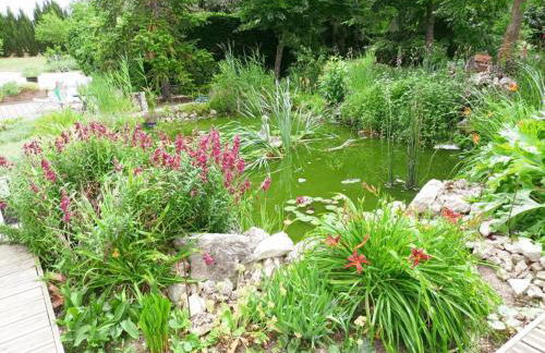 Gîte tout confort avec grand jardin, cheminée, clim et WIFI, proche châteaux de la Loire et ZooParc de Beauval - FR-1-491-400 - Photo 16