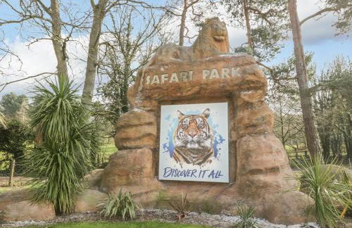 Dobbies Den - Foto 20