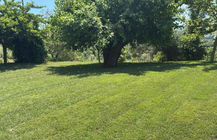 Agriturismo Serena -Petritoli- - Photo 59