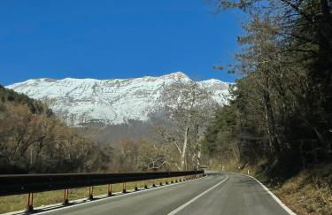 Large family - Foto 4