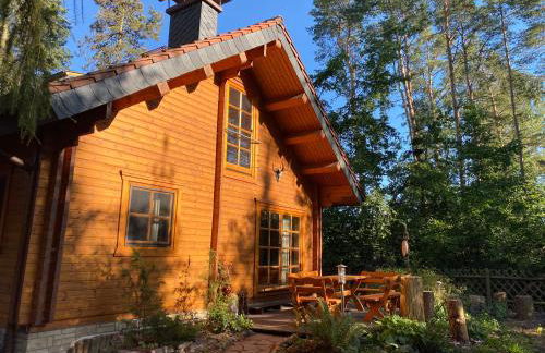 Waldhaus Eichhörnchen - Foto 2