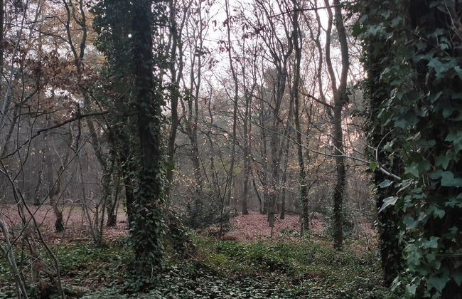 Charming Holiday Home With a Covered Terrace - Foto 39