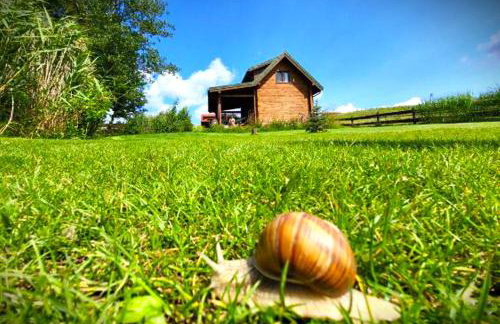 Pasterzewo 19 - Domki na Mazurach - Foto 78