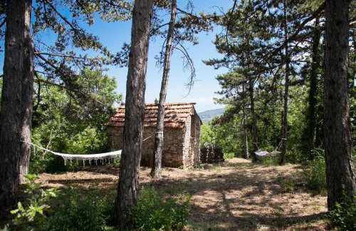 Apartment Tanja - Foto 5