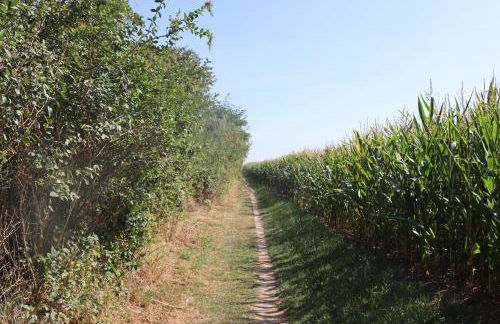 Ostseeferienhaus California - Foto 52