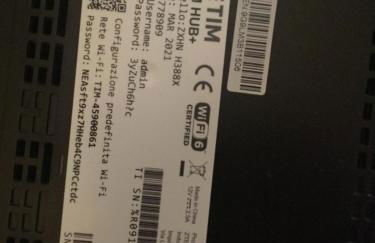 Fiordaliso - Foto 29