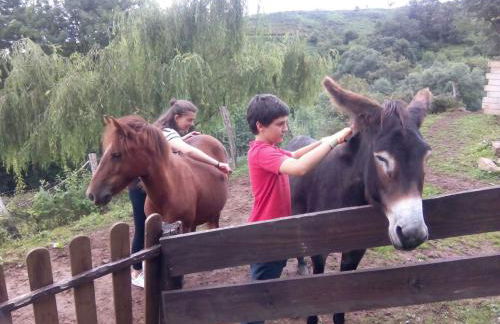 Casa Rural Haitzetxea - Foto 128