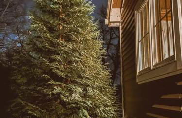 The Little Lake Cabin - Foto 19