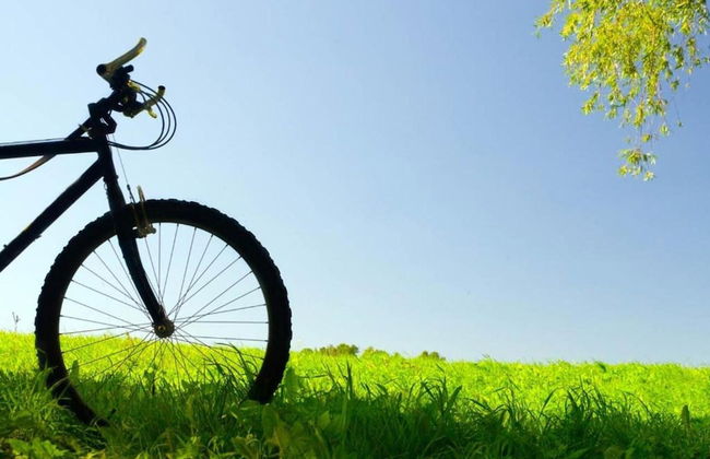 Villa Near Lecce With Garden and Beaches - Foto 25