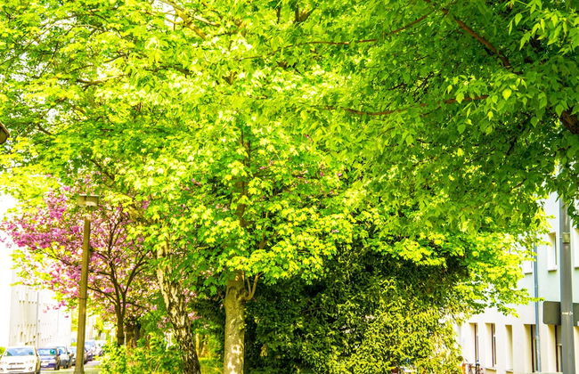 Bed'n'Work Apartment Prenzlauer Berg - Foto 23