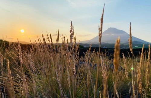 Ocean View Pico - Photo 44