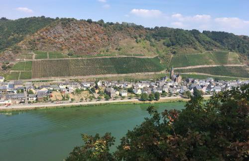 Alter Winzerhof - Foto 13