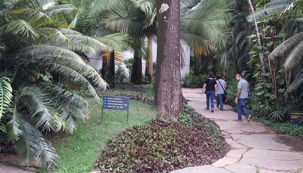 Escursione all'Istituto Inhotim - Foto 5