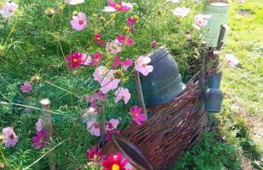 Agroturystyka Jak Makiem Zasiał Dworki 10 - Foto 50