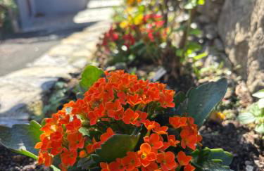 La Casa di Biancaneve - Foto 28