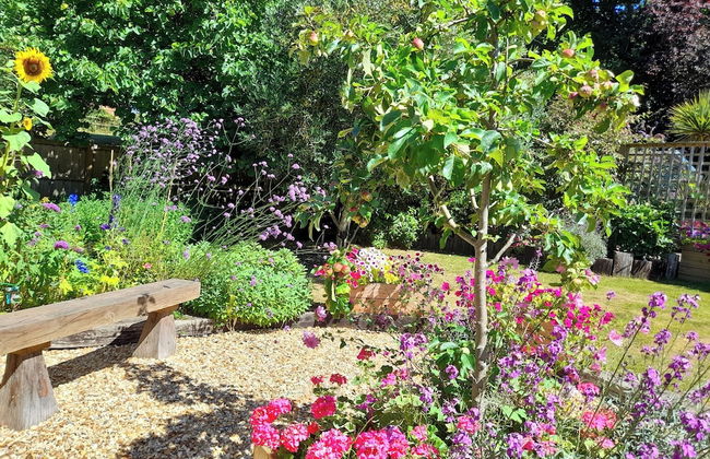 Forest Palms - Foto 34