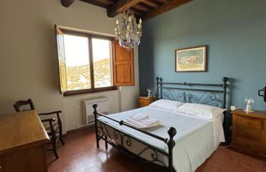 Fattoria Tolomei - Foto 33