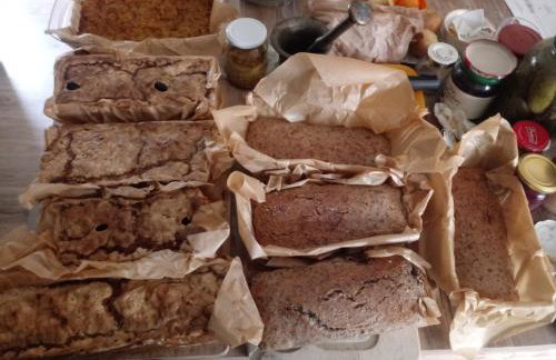 Zakątek Szczęścia Eko Agroturystyka - Foto 42