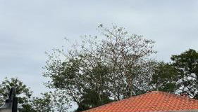 Cozy, and Excellent Location in Moc - Foto 2