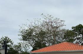 Cozy, and Excellent Location in Moc - Foto 2