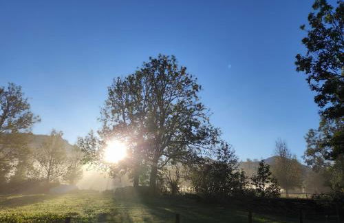 Puchnerhof - Foto 11