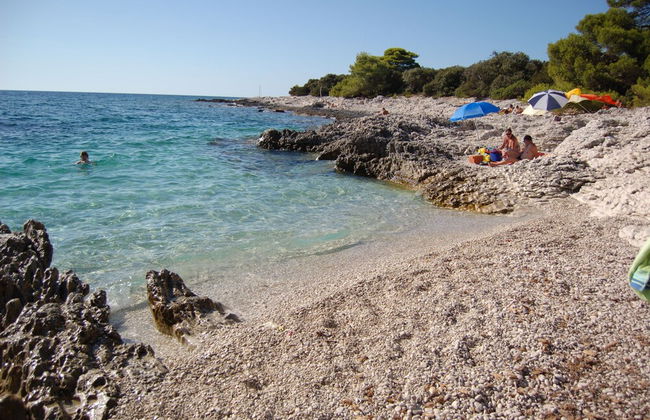 Gorgonia Apartments - Foto 54