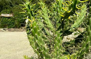 Residence Canella - Foto 32