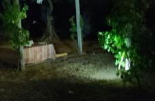 Il Dammuso di Tracino - Foto 70