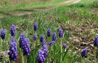 Piece of Greece - Foto 31