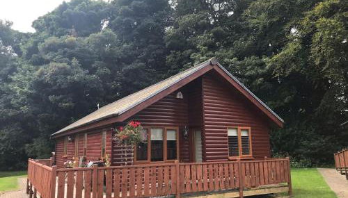 Stunning 2 Bedroom Pet Friendly Lodge - Foto 2, Garden