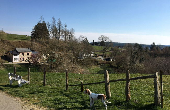 Charming Cottage With Pool in Houffalize - Photo 39