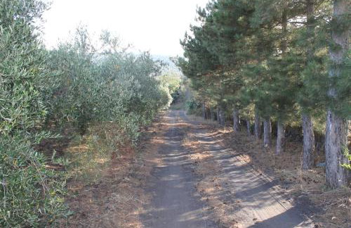 Casa Vacanza Etna - Photo 40