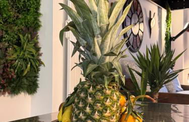 Brooklyn Loft - centre parking privé - Photo 26