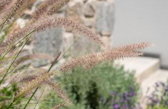Galazio Suites, Serifos - Foto 36