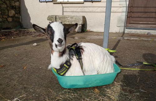 le Mas de la Jardine - Foto 42