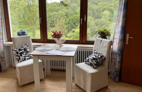 Ferienwohnungen Waldblick - Foto 16