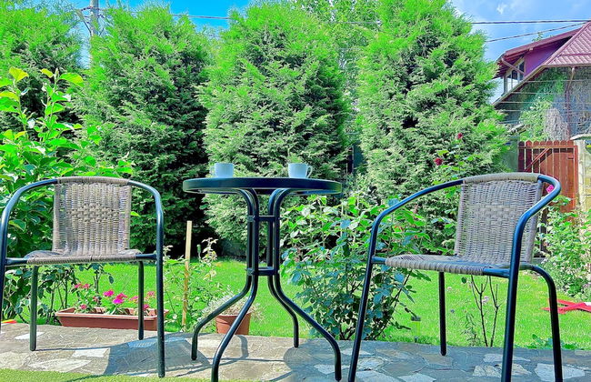 Casa Ador Sinaia - Foto 47