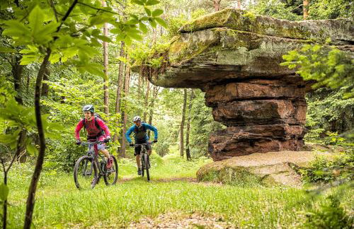 Ferienhaus Storchenblick - Foto 44