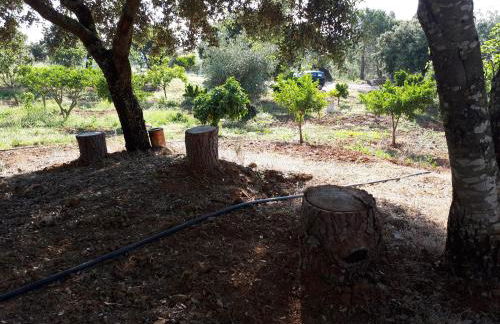 Holiday home Monte das Azinheiras - Foto 42