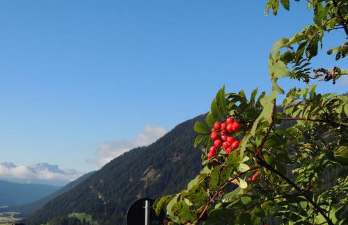 Residence Alpina - Foto 46