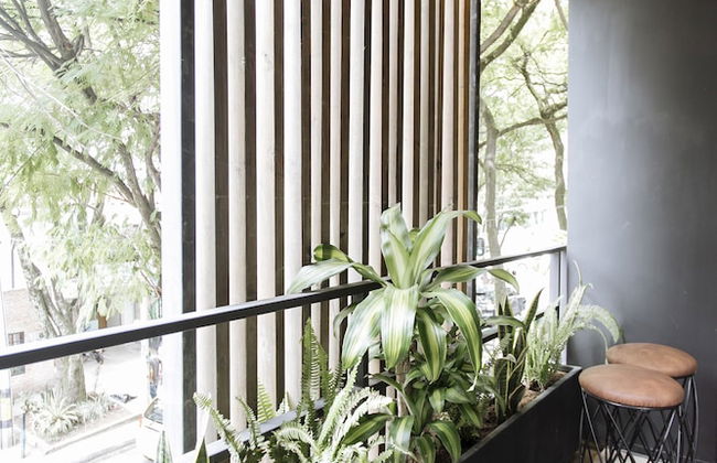 Soy Local Provenza - Foto 64