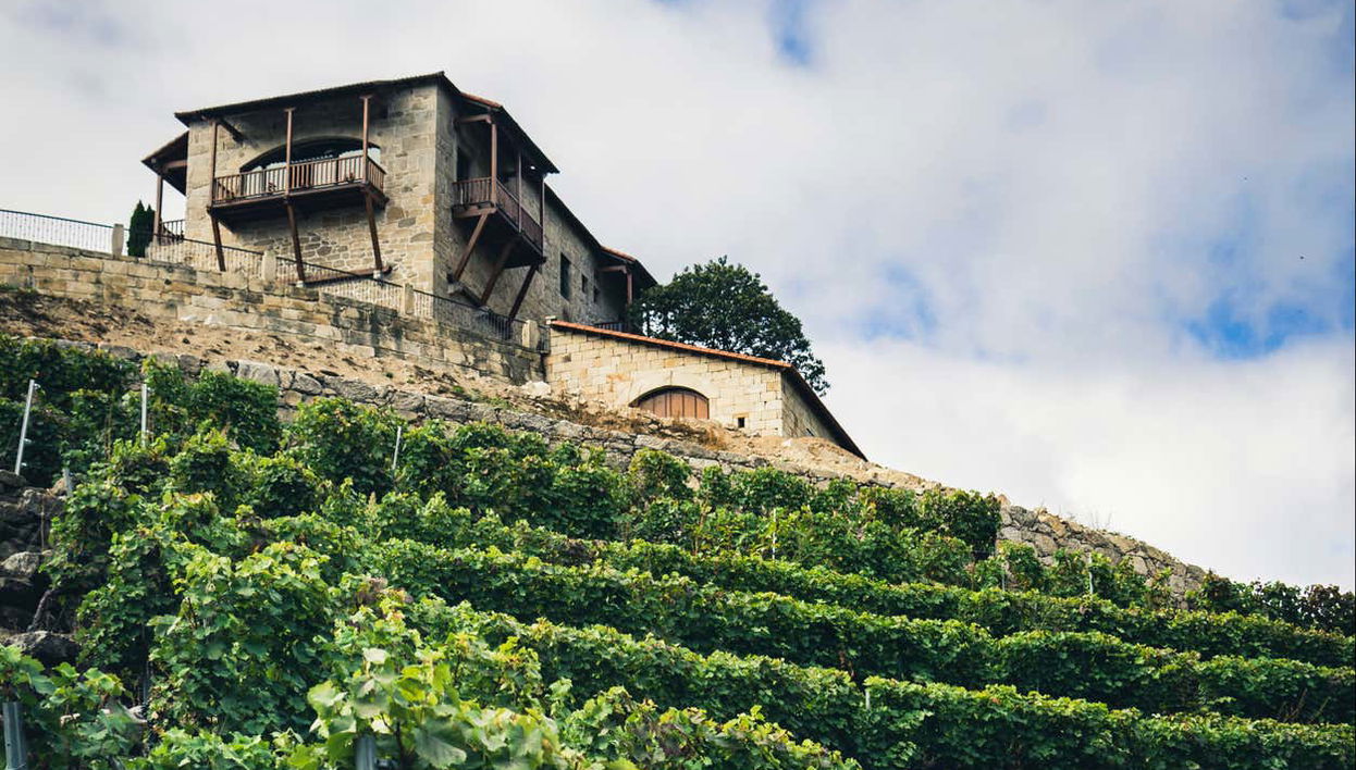 Vista del paisaje y la bodega Vía Romana