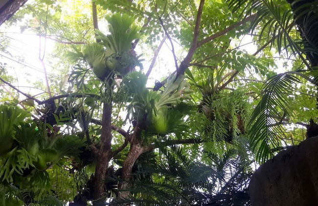 Maliwan Holiday Home - Foto 15